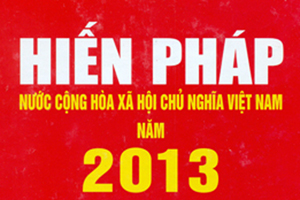 Hướng dẫn góp ý sửa đổi Hiến pháp qua VNeID, Cổng thông tin điện tử Quốc hội, Chính phủ